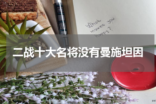 二战十大名将没有曼施坦因