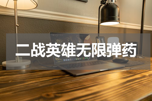 二战英雄无限弹药