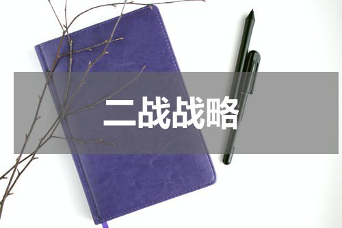 二战战略