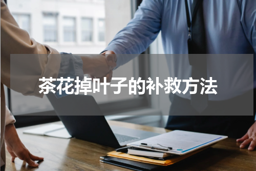茶花掉叶子的补救方法