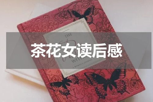 茶花女读后感