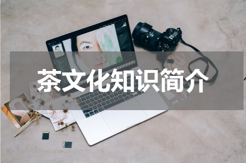 茶文化知识简介