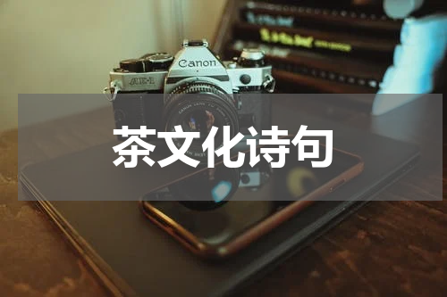 茶文化诗句