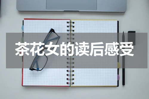 茶花女的读后感受
