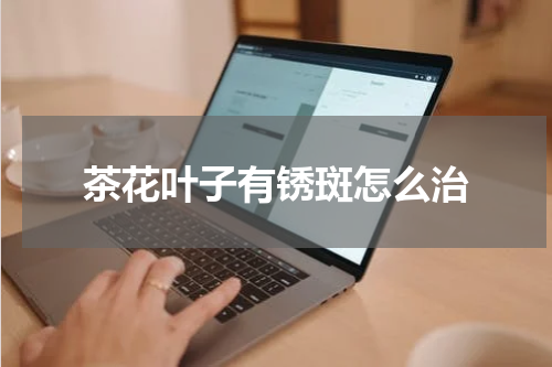 茶花叶子有锈斑怎么治