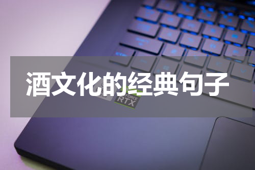 酒文化的经典句子