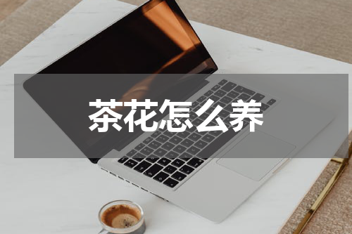 茶花怎么养