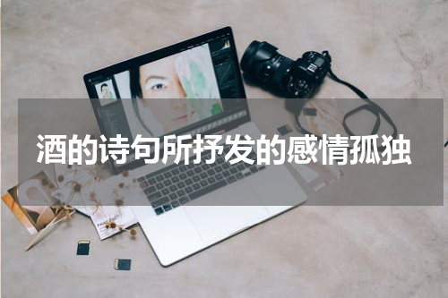 酒的诗句所抒发的感情孤独