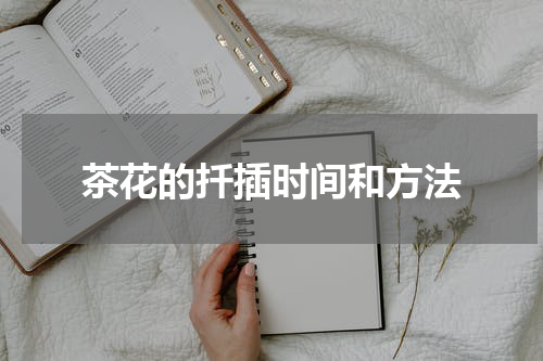 茶花的扦插时间和方法