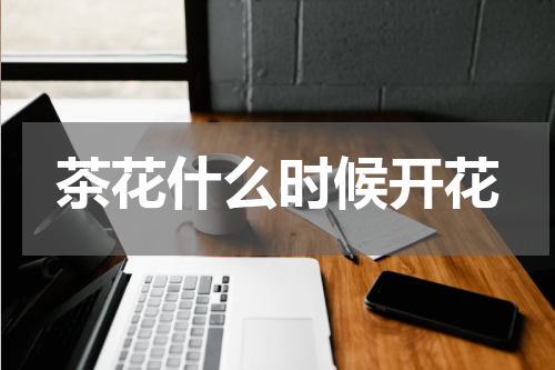 茶花什么时候开花