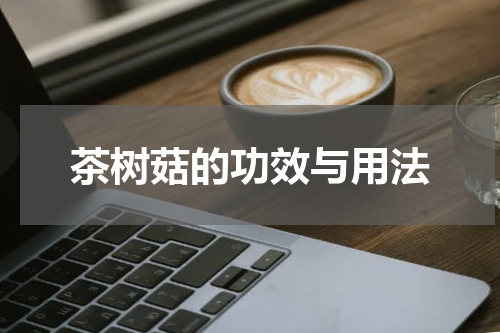 茶树菇的功效与用法