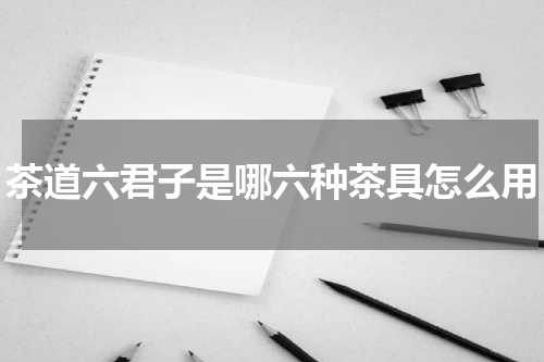 茶道六君子是哪六种茶具怎么用