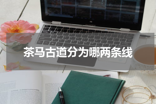 茶马古道分为哪两条线