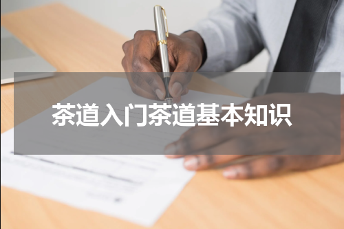 茶道入门茶道基本知识