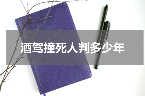 酒驾撞死人判多少年
