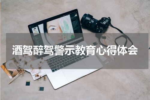 酒驾醉驾警示教育心得体会