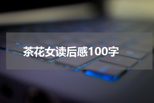 茶花女读后感100字