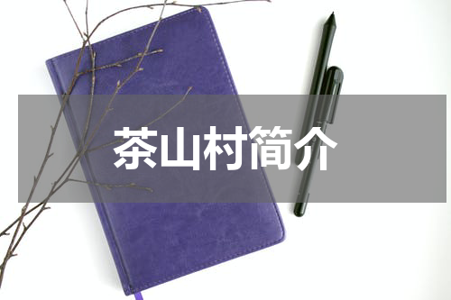 茶山村简介