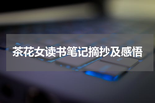 茶花女读书笔记摘抄及感悟