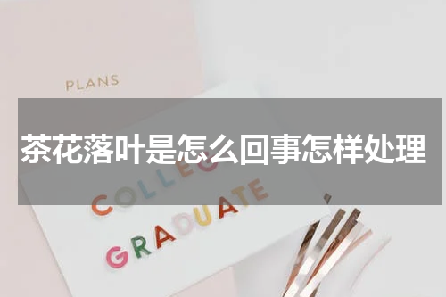 茶花落叶是怎么回事怎样处理