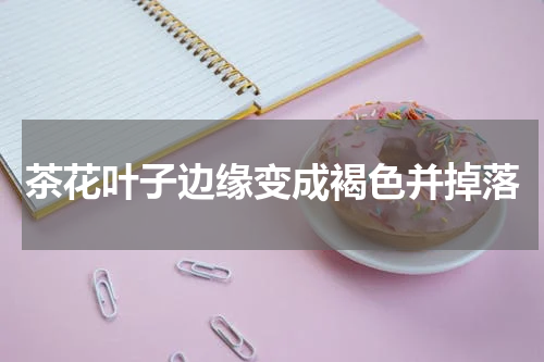 茶花叶子边缘变成褐色并掉落