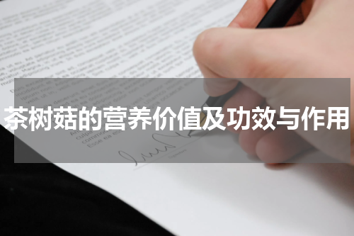 茶树菇的营养价值及功效与作用