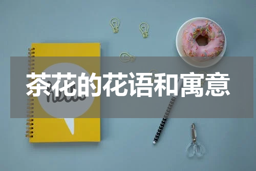 茶花的花语和寓意