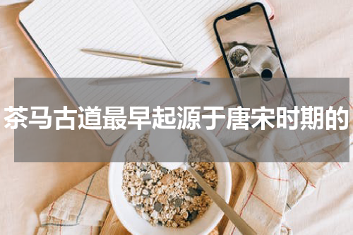 茶马古道最早起源于唐宋时期的