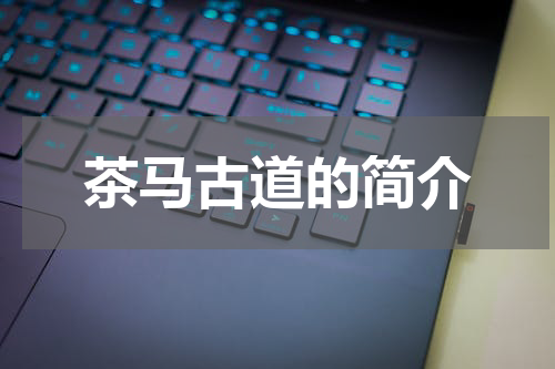 茶马古道的简介