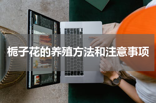 栀子花的养殖方法和注意事项
