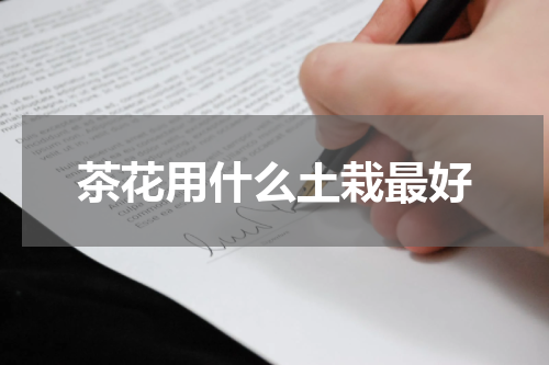茶花用什么土栽最好