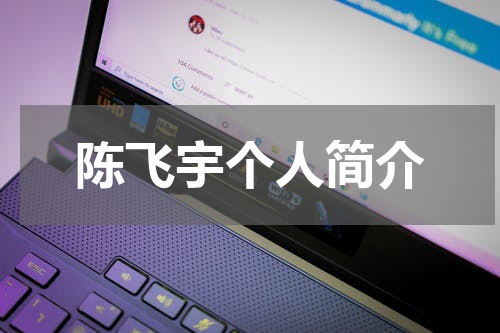 陈飞宇个人简介