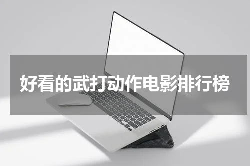 好看的武打动作电影排行榜