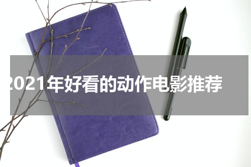 2021年好看的动作电影推荐