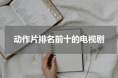 动作片排名前十的电视剧