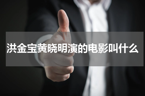 洪金宝黄晓明演的电影叫什么
