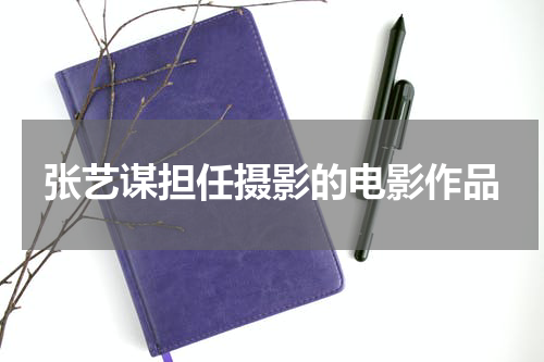 张艺谋担任摄影的电影作品