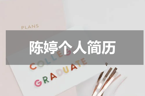 陈婷个人简历