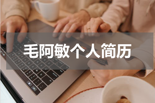 毛阿敏个人简历