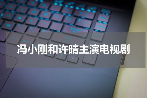 冯小刚和许晴主演电视剧