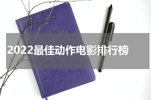 2022最佳动作电影排行榜