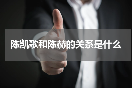 陈凯歌和陈赫的关系是什么