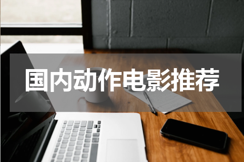 国内动作电影推荐