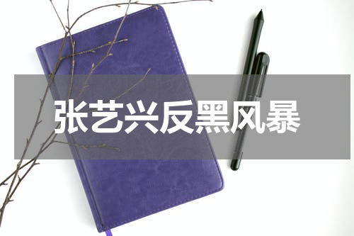 张艺兴反黑风暴