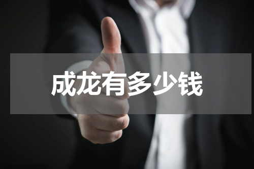 成龙有多少钱
