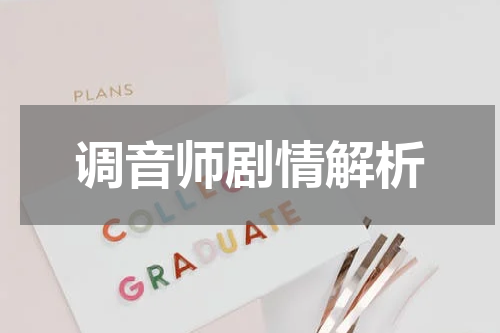调音师剧情解析