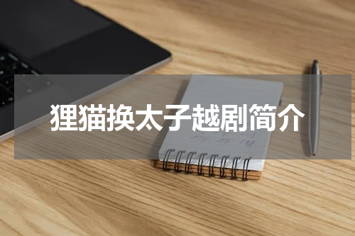 狸猫换太子越剧简介