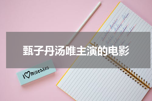 甄子丹汤唯主演的电影