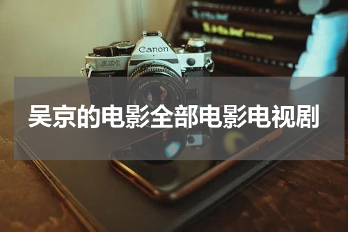 吴京的电影全部电影电视剧