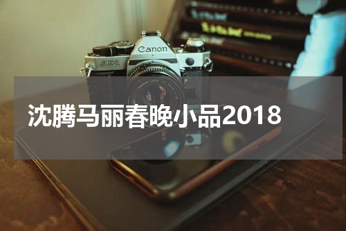 沈腾马丽春晚小品2018
